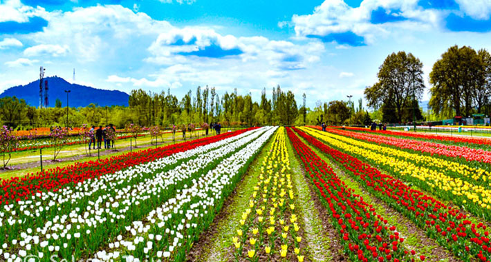 Exotic-Kashmir-Package