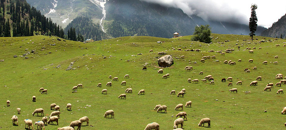 sonmarg_2